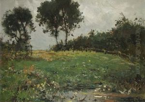 Baume
