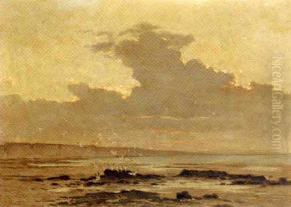 Gulls On A Beach - view 1