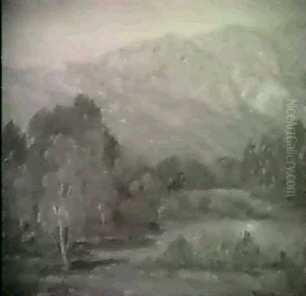 Back Country - view 1