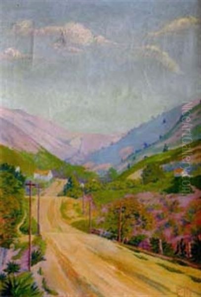 Avenida-victoria Theresopolis - view 1