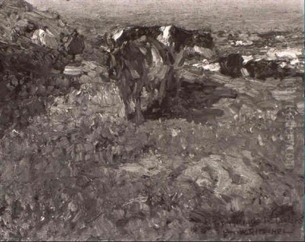 Cows Near The Shore - view 1