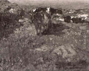 Cows Near The Shore Cows Near The Shore