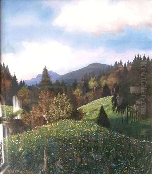 Hugelige Waldlandschaft Mit Bluhenden Wiesen - view 1