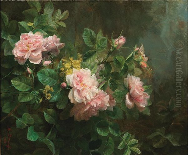 Roses - view 1