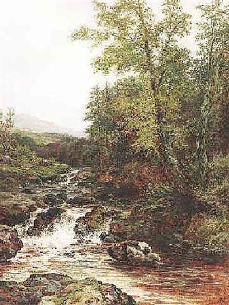 Bewaldete Bachlandschaft In Den Midlands - view 1