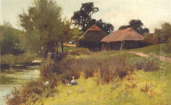 Ducks By A Pond With Farm Buildings Beyond - view 1