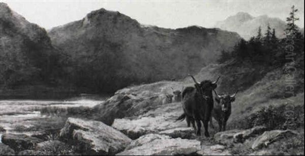Rinder Im Schottischen Hochland - view 1