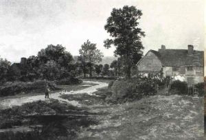 A Surrey Cottage A Surrey Cottage