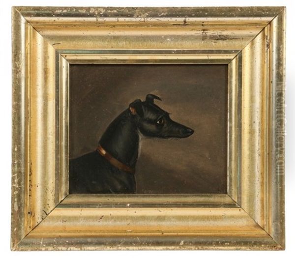 Study Of A Greyhound Dog - view 1