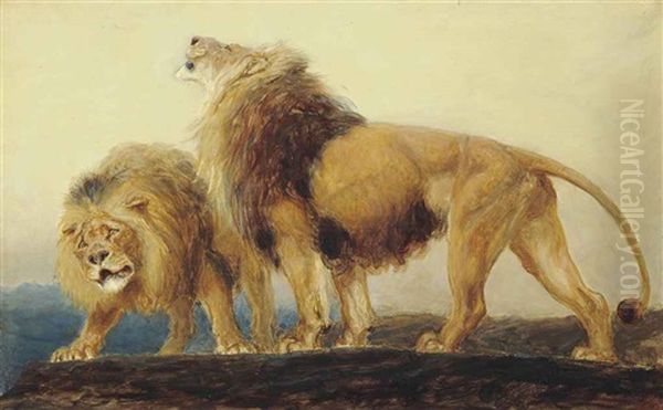 The Lions Roaring After Their Prey Do Seek Their Meat From God - view 1