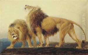 The Lions Roaring After Their Prey Do Seek Their Meat From God