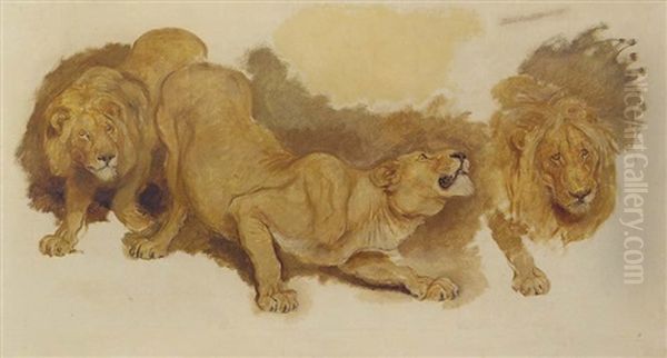 Daniel In The Lion's Den - view 1