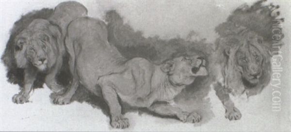 Sketch For Daniel In The Lion's Den - view 1