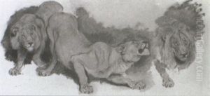 Sketch For Daniel In The Lion's Den