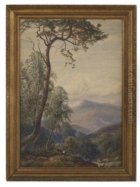 Sheep Grazing In Mountainous Landscape - view 1