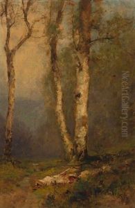 Birch Trees