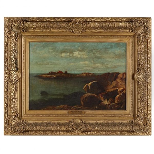 The Maine Coast - view 1