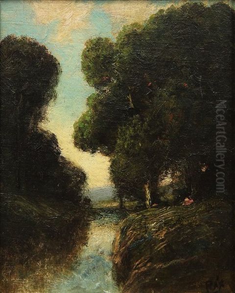 Stream Through The Woods - view 1