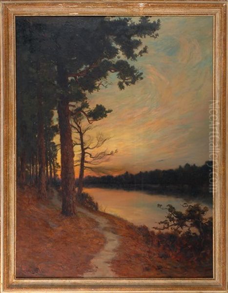 Sunlit Forest River - view 1