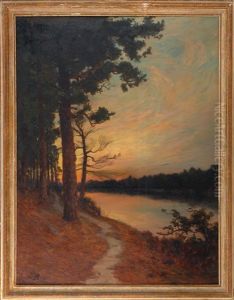 Sunlit Forest River