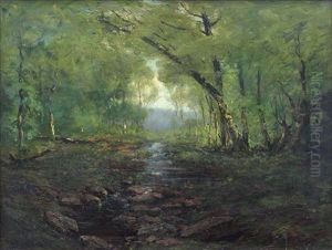 A Maine Forest