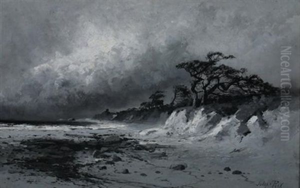California Coastal Landscape - view 1