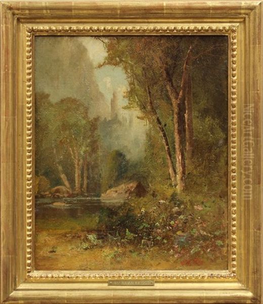 Stream Through The Mountains - view 1