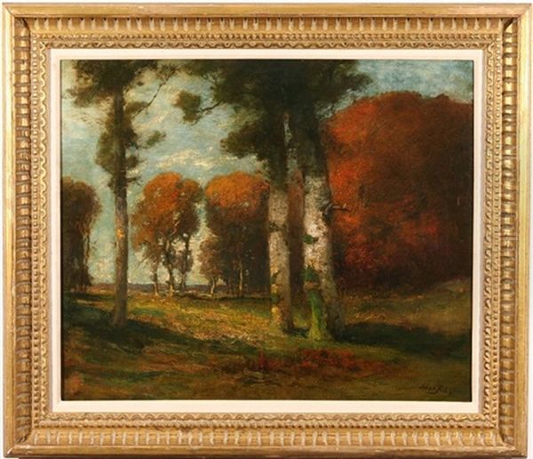 An Autumn Day In California - view 1