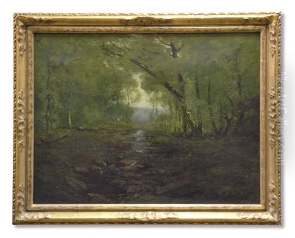 A Trout Stream, Maine Forest - view 1
