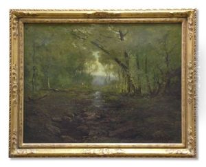 A Trout Stream, Maine Forest