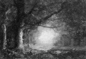 Woodland Scene With Brook Woodland Scene With Brook