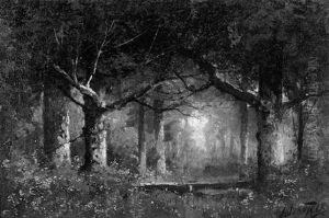 Woodland Interior Woodland Interior