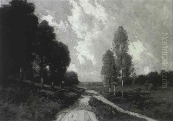 Road Through A Field - view 1