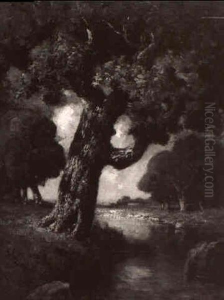 Oak Tree - view 1