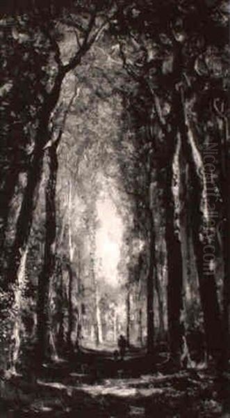 The Wooded Path - view 1