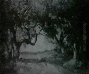 Road Through A Forest Road Through A Forest