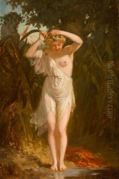 A Wood Nymph - view 1