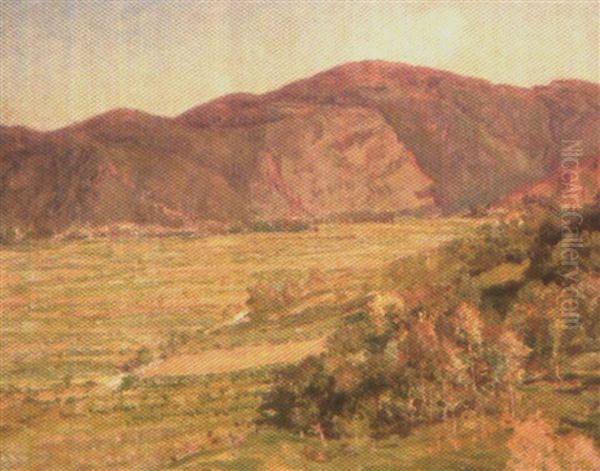 Paysage Boise Vallonne - view 1