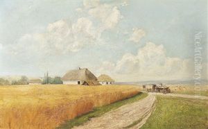 Reife Kornfelder In Ukrainischer Landschaft