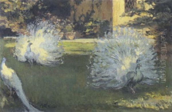 Pavoni In Giardino - view 1