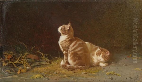 Zwei Katzen - view 1