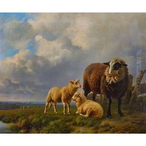 Schaf Mit Jungtieren