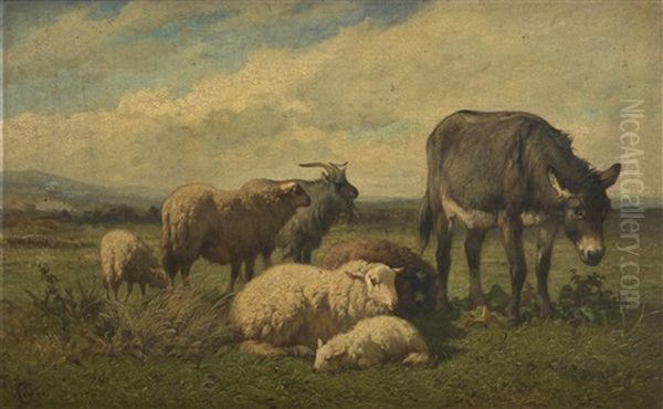 Paysage Avec Des Moutons - view 1