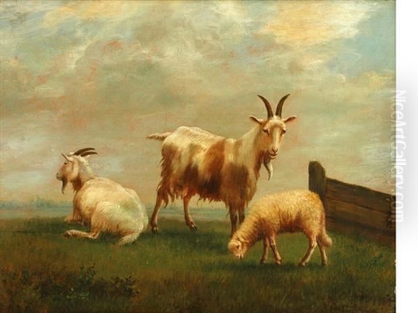 Goats And A Lamb In A Meadow - view 1