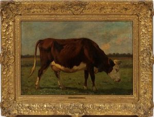 Grazing Cow Grazing Cow