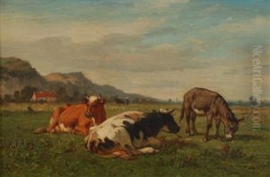 Vaches Et Ane Au Paturage Vaches Et Ane Au Paturage