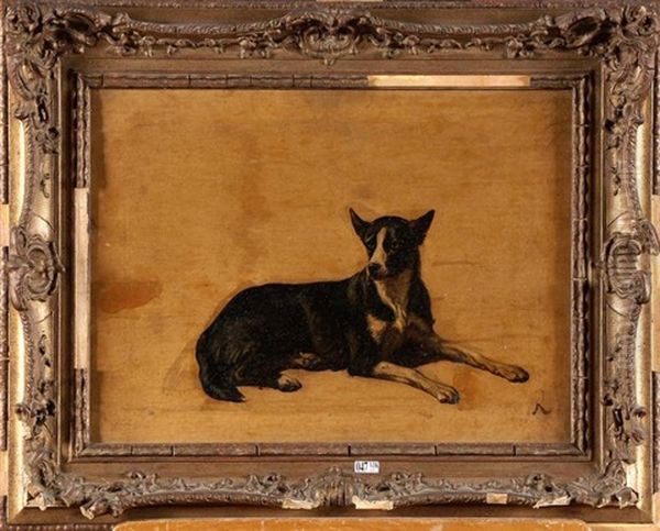 Portrait D'un Chien Couche - view 1