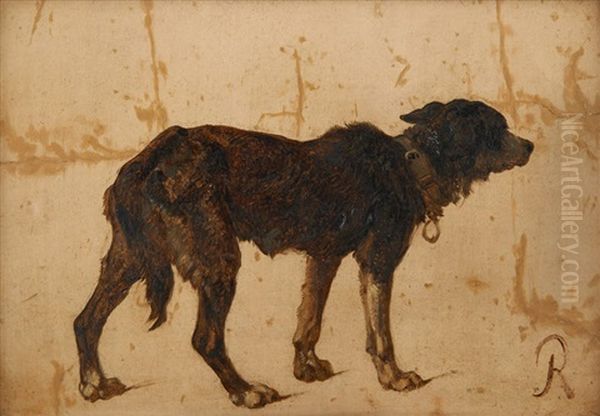 Chien - view 1