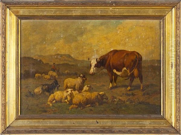 Sheep & Cow - view 1