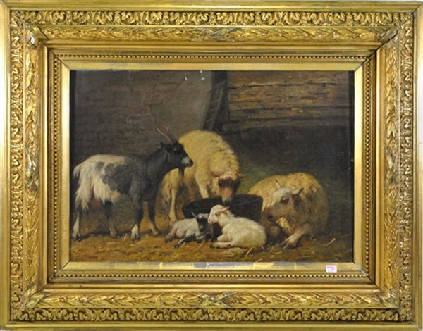 Moutons - view 1